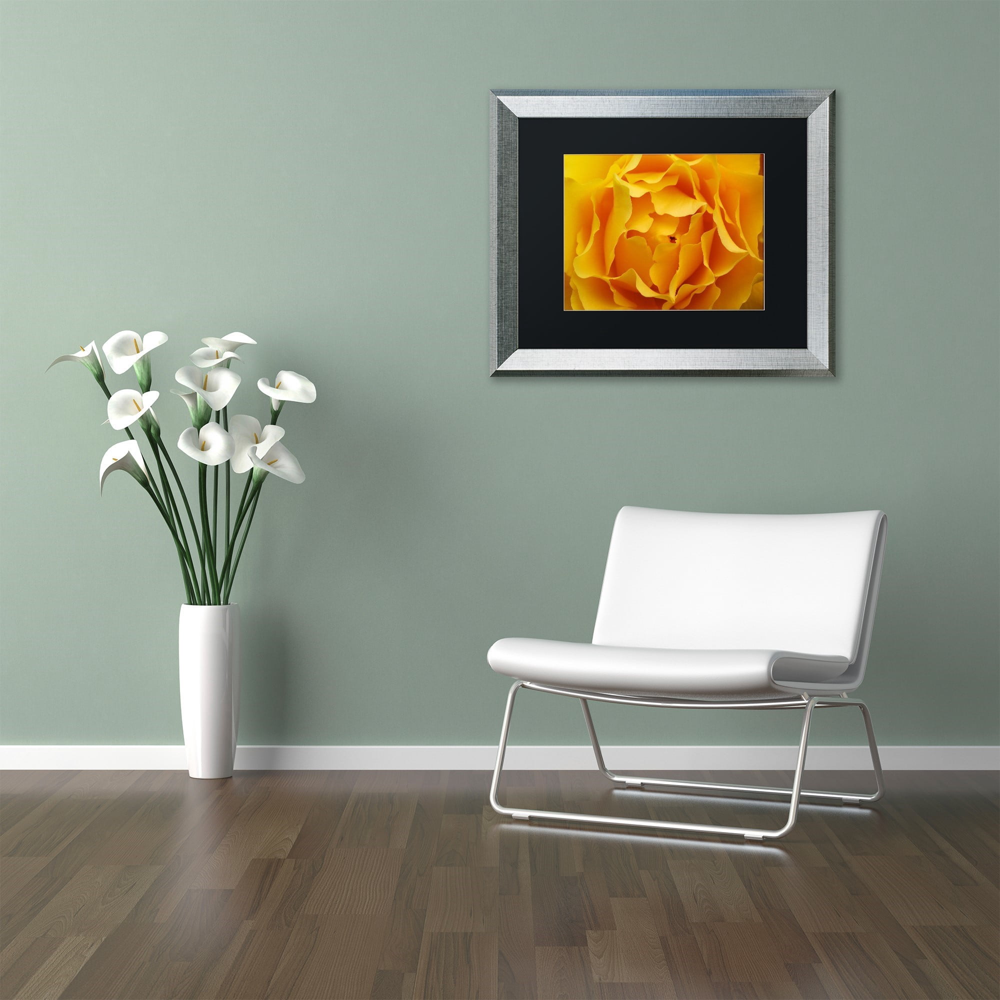 Trademark Fine Art "Hypnotic Yellow Rose" Canvas Art by Kurt Shaffer Black Matte, Silver Frame