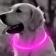 thumbnail image 3 of Collar de perro brillante, lámpara de collar de perro flash universal, collar de seguridad reutilizable para mascotas MFZFUKR CPB-US-XAH157-3, 3 of 5
