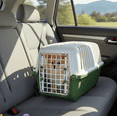 thumbnail image 3 of Transportadora para Perro y Gato con Puerta y Bebedero para Mascotas 47x31x31.8cm Ajolopet Color Verde, 3 of 9