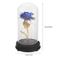 thumbnail image 4 of Fyydes 24K Gold Plated Rose Flower LED Light with Glass Cover Base Valentines'Day Wedding Gift, 4 of 8