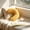 #0301-Yellow, variant on Kieccall U Shaped Contoured Body Pillow Soft Support Cushion For Side Sleeping Rest Travel And Leisure Relaxation Gift
