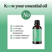Maple Holistics Eucalyptus Essential Oil for Aromatherapy, 1 Fl Oz