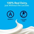 Lactaid 100 LactoseFree Sour Cream, 16 Oz.