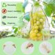 thumbnail image 3 of 100 x Bolsas protectoras para uvas, bolsas de protección para frutas, bolsas de organza reutilizables para jardín con cordón para protección contra avispas y pájaros, 30 cm x 20 cm, verdes, 3 of 5