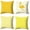 Type5, variant on Abstract Geometric Pillowcase Peach Skin Brushed Square Pillowcase Simple Home Sofa Decorative Cushion Cover