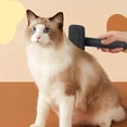 thumbnail image 4 of TAROFISH Self Cleaning Pet Brush Ion Technology Cat Dog Hair Remover Comb with Ergonomic Handle 11.02 Inch,Black, 4 of 5