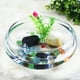 thumbnail image 5 of Acuario transparente de plástico de 2800 ml para decoración del hogar. Pecera pequeña para plantas y mascotas acuáticas., 5 of 5