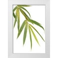 thumbnail image 1 of Murdock, Ramona 17x24 White Modern Wood Framed Museum Art Print Titled - Bamboo Branch, 1 of 4