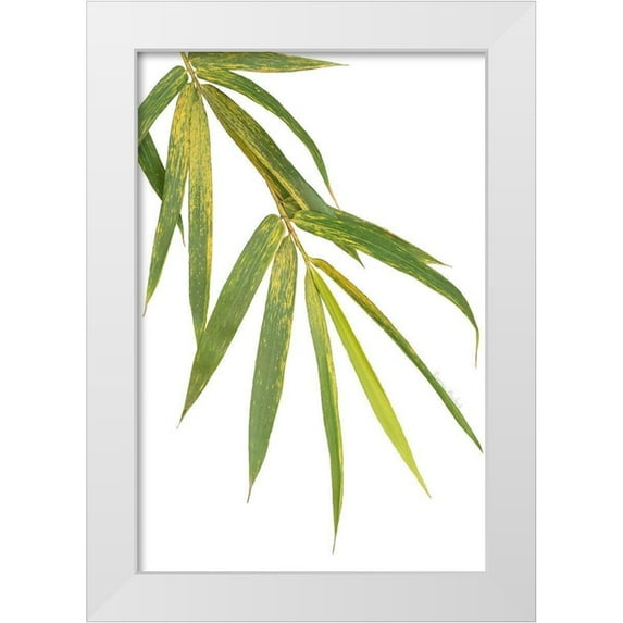 Murdock, Ramona 17x24 White Modern Wood Framed Museum Art Print Titled - Bamboo Branch