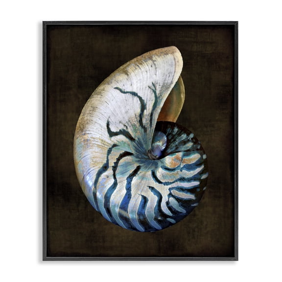 Stupell Industries Tropical Modern Marine Shell Black Framed Giclee Art, 11 x 14, by Caroline Kelly