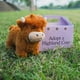 thumbnail image 3 of Fluffy Bull Highland Cow Legend Plushie Realistic Highland Cow Stuffed Plush Toy Cute Scottish Cattle Collectible for Kids & Adults, 3 of 5