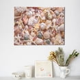 thumbnail image 6 of Balery Colorful Seashells Pattern Canvas Decorative Picture – 30x40in Premium Wall Art, Modern Canvas Print for Home Decor（Horizontal）, 6 of 6