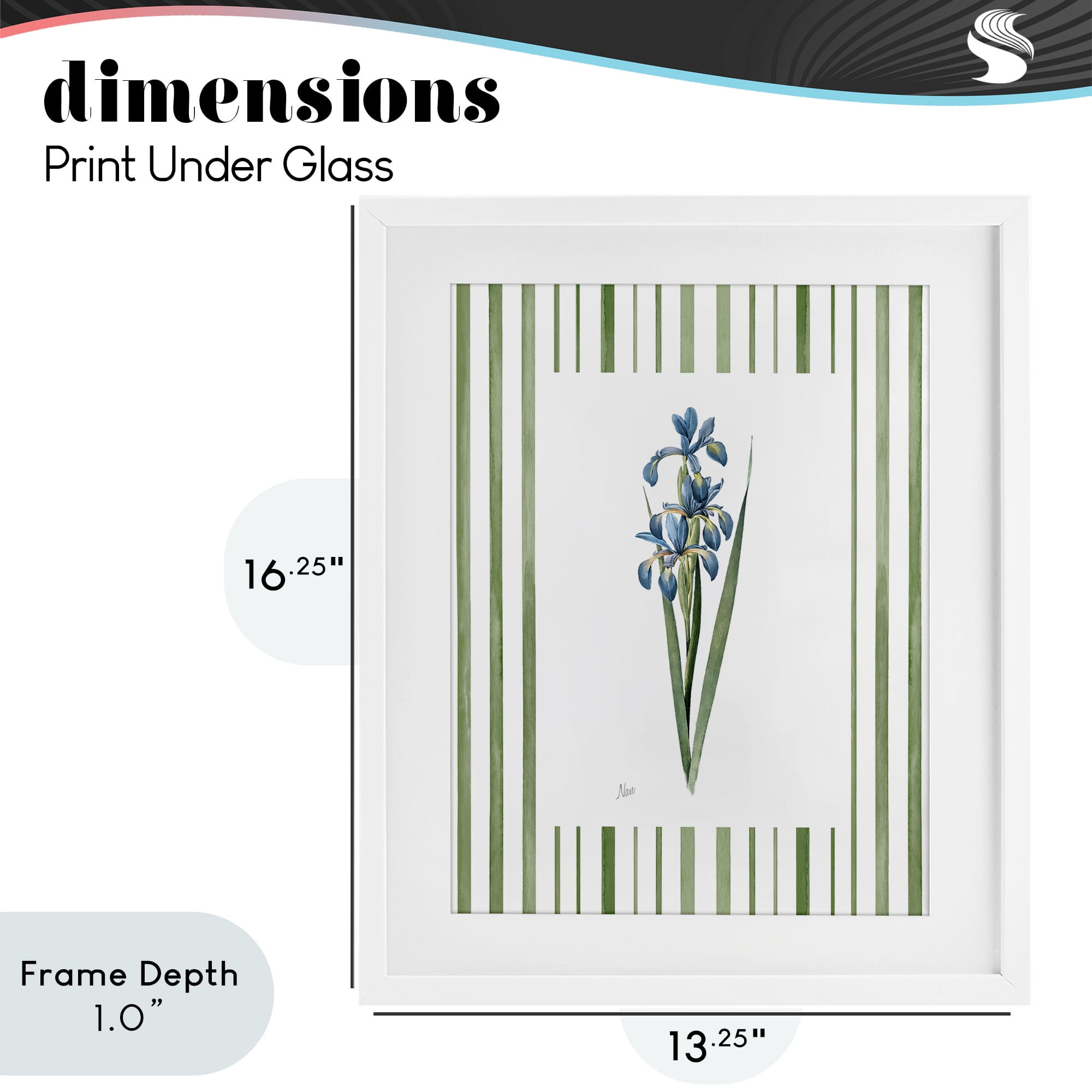 Stupell Industries Spring Irises with Stripes White Framed Print Under Glass, design by Nan