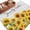 White, variant on Sunflower Area Rugs 5'x8', Washable Small Throw Rugs for Classroom Bedroom, Yellow Summer Botanical Farmhouse Floral Wooden Indoor Outdoor Rug Non-Slip Low Pile Carpet Runner Reversible Floor Mats