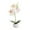 White, variant on TIELUTT Bonsai Indoor Orchid Bonsai Coral Flowers Flowers for Outdoors Hanging Leaf Garland Flowers Bouquet Light Flowers
