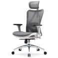 thumbnail image 1 of Silla de oficina SIHOO M57 ergonómica con reposabrazos y soporte lumbar, 1 of 8