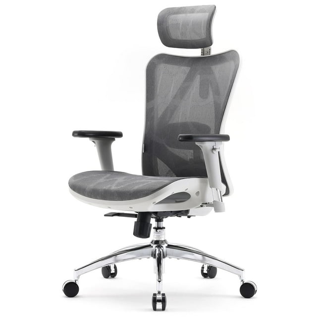 Silla de oficina SIHOO M57 ergonómica con reposabrazos y soporte lumbar