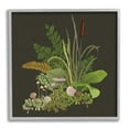 thumbnail image 4 of Stupell Industries Forest Botanicals Plants Ferns Mushrooms Sprouting Graphic Art Gray Framed Art Print Wall Art, Design by House of Rose, 4 of 5