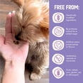 thumbnail image 6 of Health Extension Grain Free Little Bites for Small Dogs, Salmon & Sweet Potato (12 Lb) | Added Vitamins & Minerals | Made For Sensitive Stomachs, 6 of 9