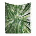 thumbnail image 1 of Bamboo Print Soft Flannel Fleece Throw Blanket, Tropical Rain Forest Tall Bamboo Trees in Grove Exotic Style Nature Theme Image, Cozy Plush for Indoor and Outdoor Use, 60" x 80", Green, by Ambesonne, 1 of 6