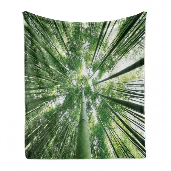 Bamboo Print Soft Flannel Fleece Throw Blanket, Tropical Rain Forest Tall Bamboo Trees in Grove Exotic Style Nature Theme Image, Cozy Plush for Indoor and Outdoor Use, 60" x 80", Green, by Ambesonne