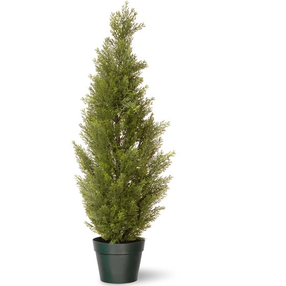 National Tree 36" Arborvitae with Green Pot