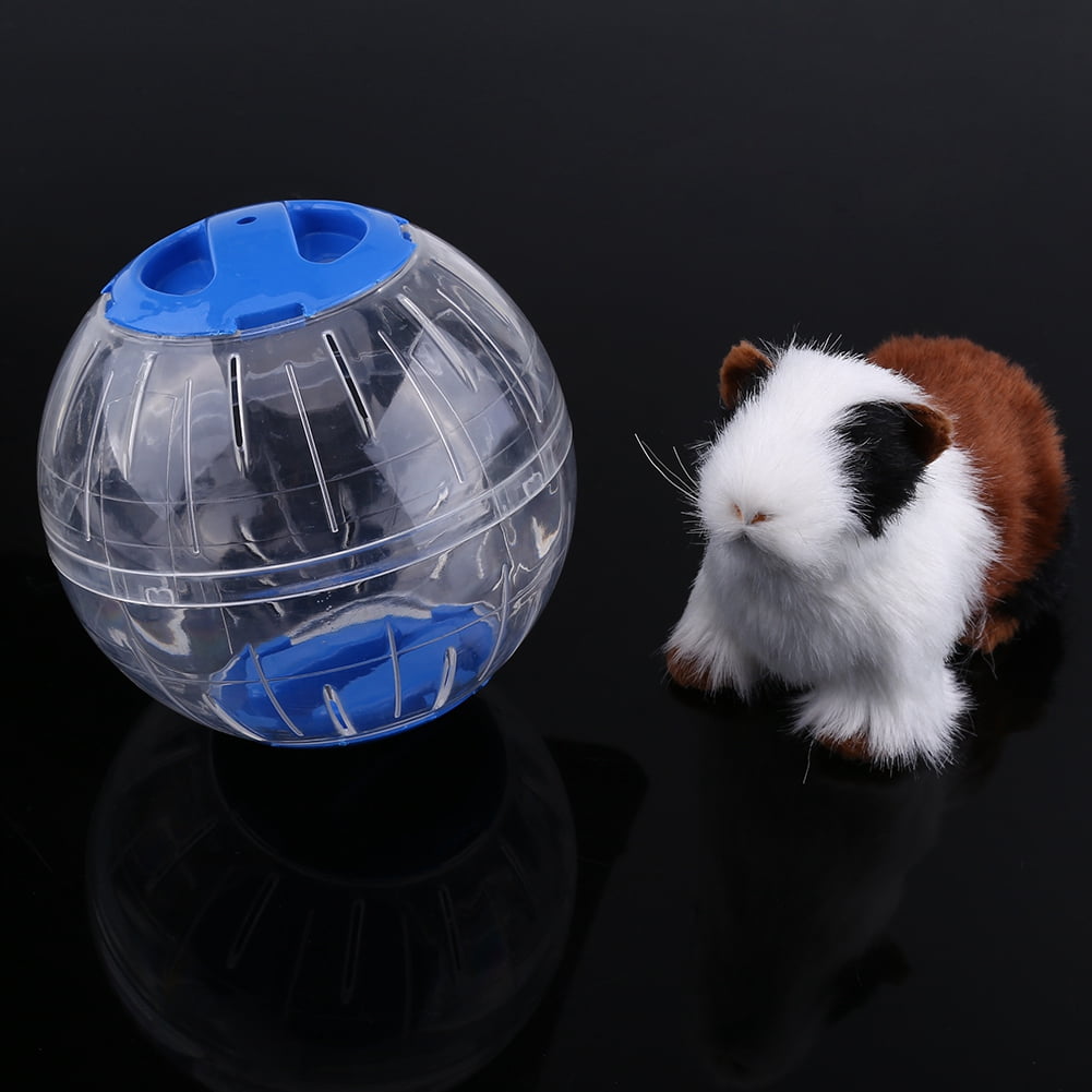 Guinea pig running ball hotsell