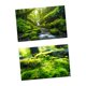 thumbnail image 3 of Fondo fotográfico de 57x87 cm con paisaje natural, doble cara. Estilo a, 3 of 9