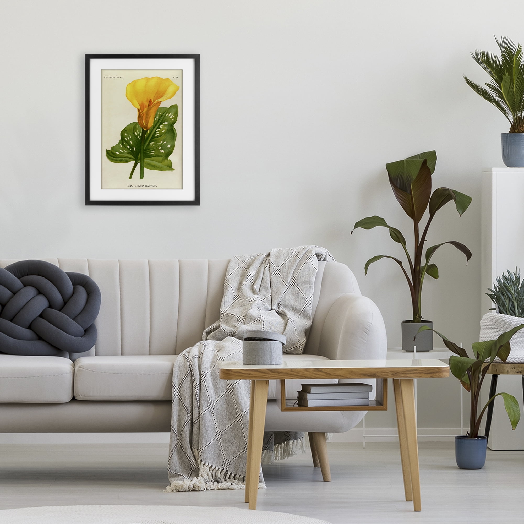 Stupell Industries Yellow Canna Lily Black Framed Print Under Glass, design by Print Collection
