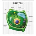 thumbnail image 3 of Ambesonne Science Shower Curtain, Cell Biology Plant, 69"Wx84"L, Green Pale Blue, 3 of 3