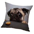 thumbnail image 1 of simhoa Animal Pattern Pillow Case Cushion Cover for Dog Car Sofa Dog 45x45cm, 1 of 8