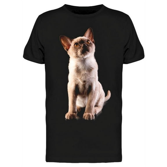 Amazing Portrait Of White Kitten T-Shirt Men -Image by Shutterstock, Male XX-Large