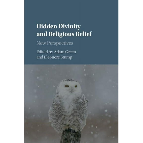 Hidden Divinity and Religious Belief, (Hardcover)