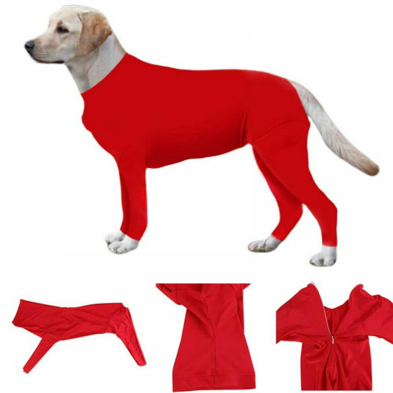 Dog Surgical Recovery Suit for Dogs Long Sleeve Keep Dog from Licking  Abdominal Wound Protector After Surgery Wear Pet Supplier