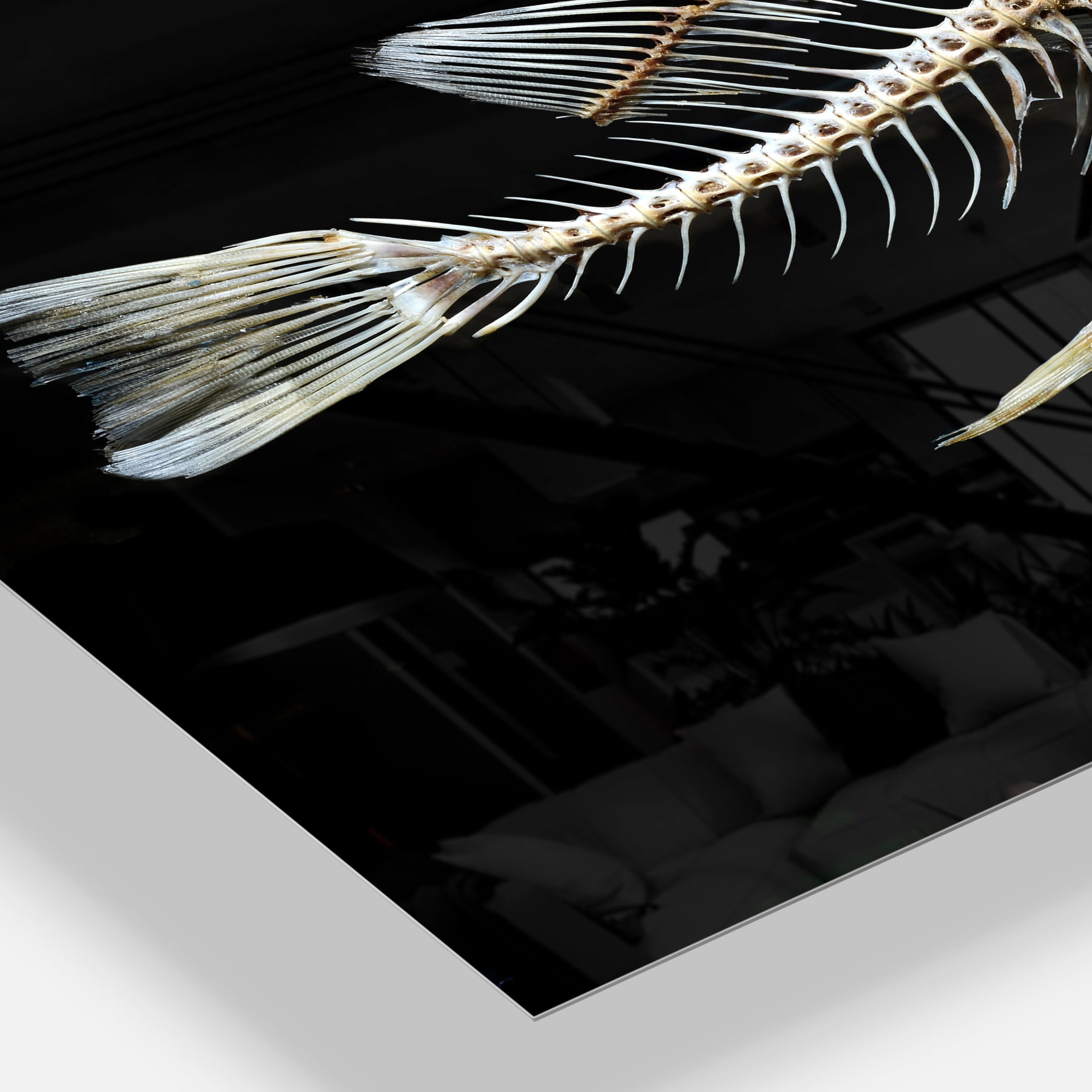Designart 'Fish Skeleton Bone on Black ' Animal Metal Wall Art