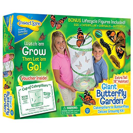 Insect Lure - Insect Lore Giant Butterfly Kit: Deluxe 18
