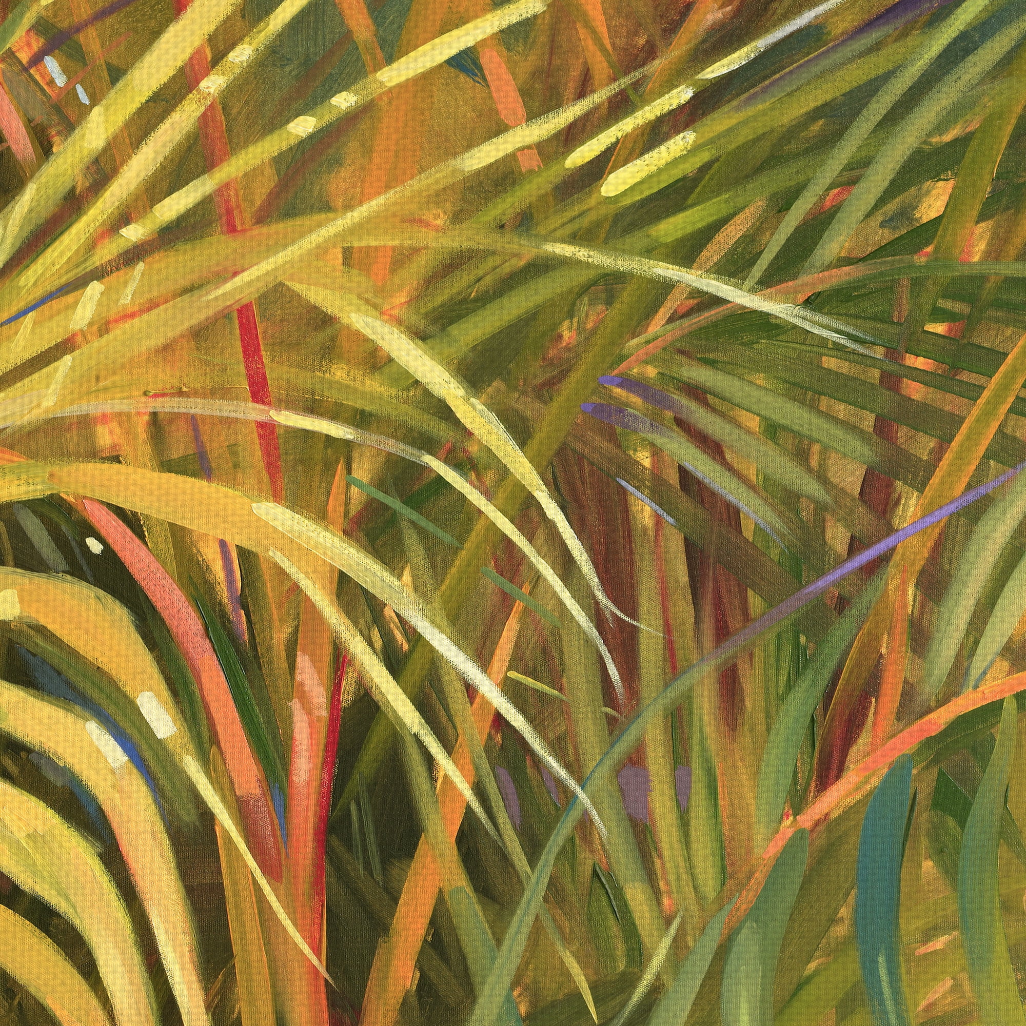 Masterpiece Art Gallery Tropical Leaves Light by Darrell Hill Canvas Art Print 17" x 34"