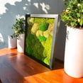 thumbnail image 4 of Evergreen Oasis Preserved Moss Wall Decor 16"x13", Preserved Moss & Artificial Greenery, Wood Framed Wall Hanging, Complete Art, 4 of 7