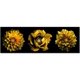 thumbnail image 1 of Cuadro Decorativo Flores, 1 of 4