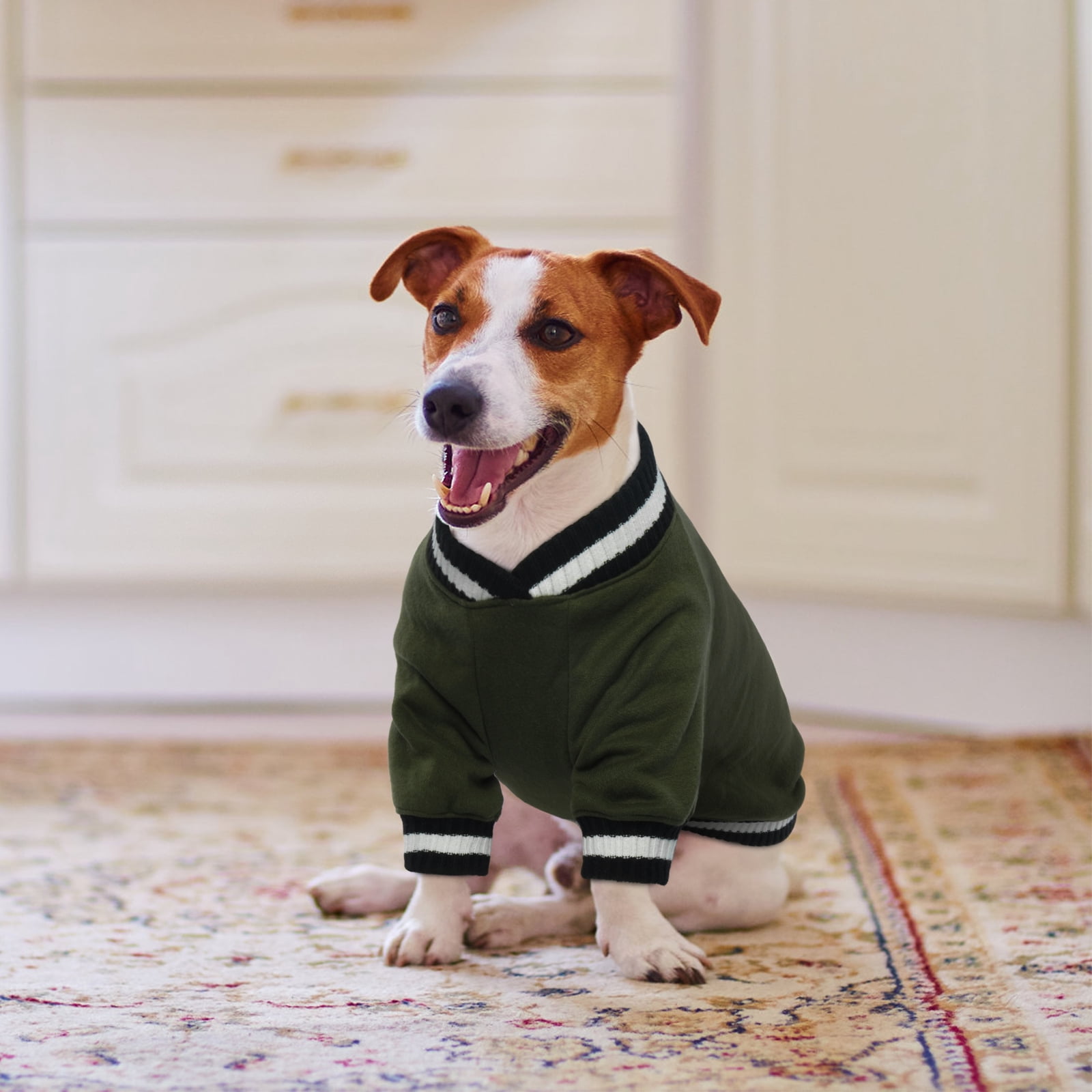 Kuoser Dog Winter Sweater, Cute Pet Pullover Vest, Soft and Thick Sweatshirt for Dogs and Cats, Green, XS