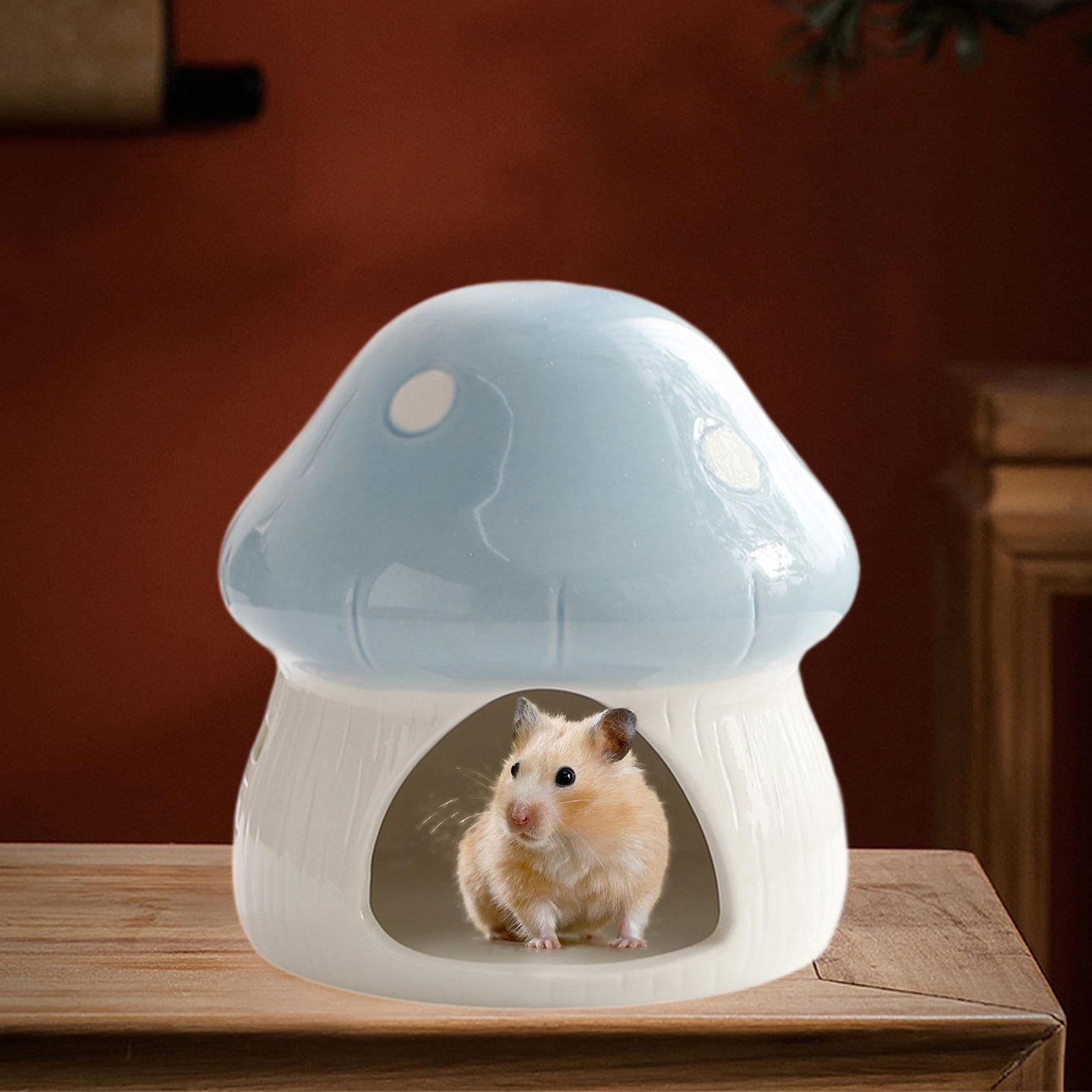 Bvdfgk Ceramic Hamster House Cave Creative Indoor Hideaway House Guinea Pig Hideout for Blue