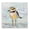 Coastal Plover Patchwork, variant on Stupell Industries Coastal Coastal Plover Abstract Bird Black Framed Giclee Art, 12 x 12, by Jeanette Vertentes
