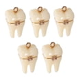 thumbnail image 6 of GETAJGHSD 5Pcs Beige Resin Tooth Pendant Charms with Brace for Jewelry Making Accessories, 6 of 8