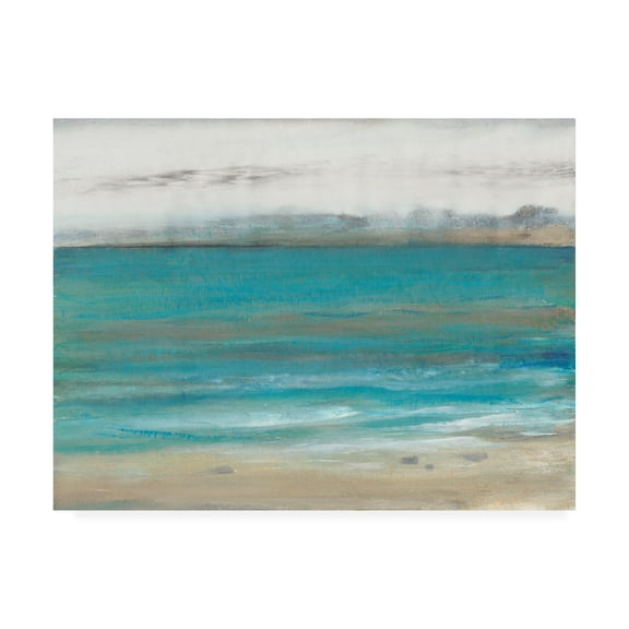 Trademark Fine Art 'Seashore I' Canvas Art by Tim O'Toole