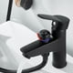 thumbnail image 4 of Accesorio de baño moderno Bearachild cobre lavabo de doble color galvanizado, 4 of 6