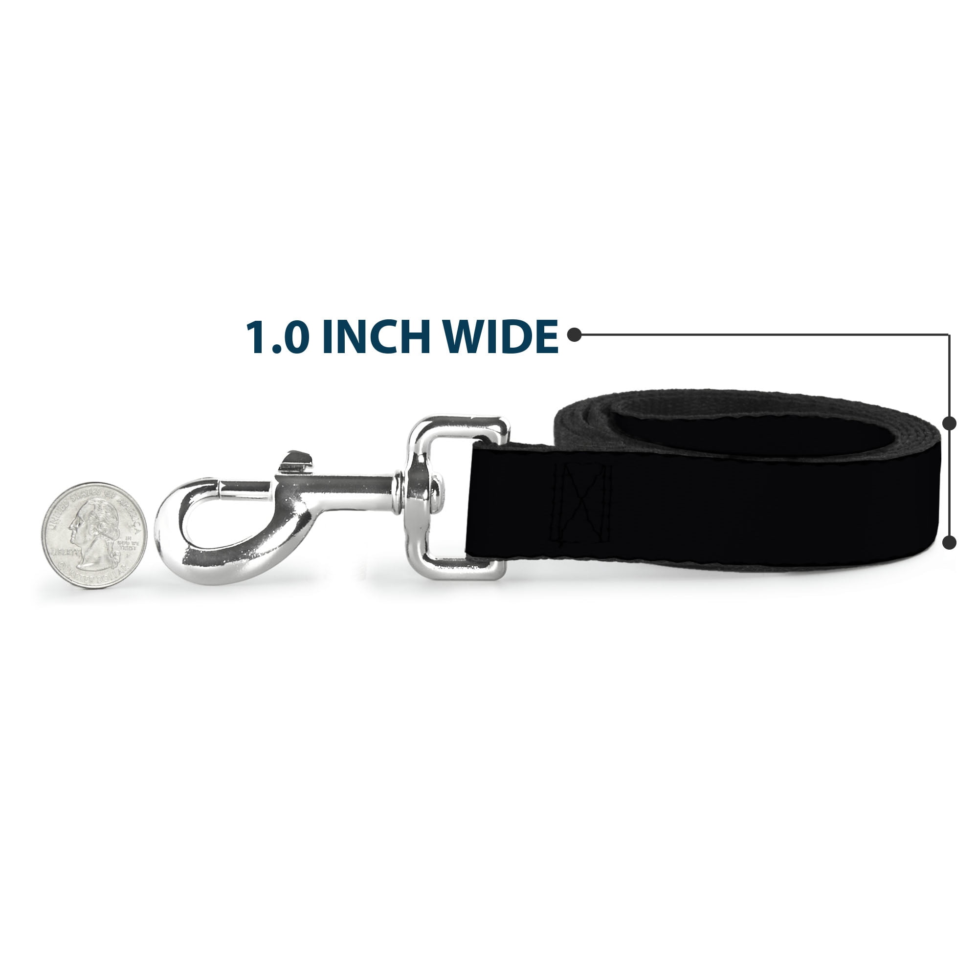 Buckle-Down Pet Leash, Dog Leash, Black, 6 Feet Long 1.0 Inch Wide