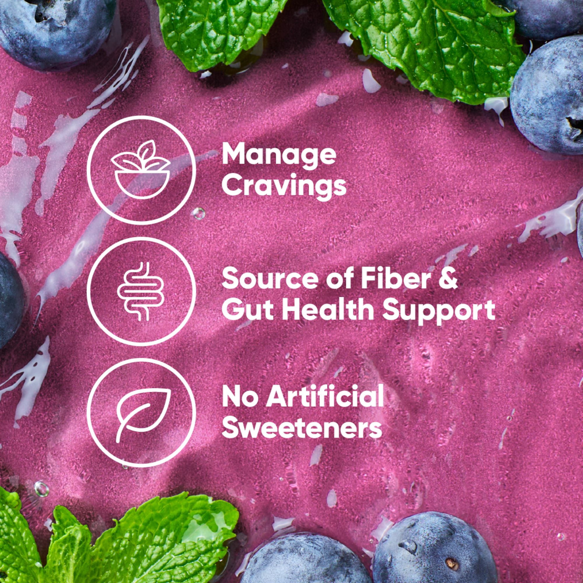 True Lemon Curb Your Cravings Blueberry Fusion Flavored Powder, 8 Ct. Drink Mix Packets