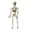 B003- White, variant on Skeleton Halloween Decor, Orange Hanging Pumpkin Skeleton Decoration, for Halloween Lawn, Window, Porch, Indoor Party, Haunted Mansion, Trunk Or Treat Setup, Adds Creepy Festive