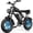 16inch-1500W-48V 20AH, variant on Ridstar 1500W Electric Bike for Adults,33MPH 48V 20Ah Electric Bicycle ,20" Fat Tire Full Suspension Mountain Bike UL2849