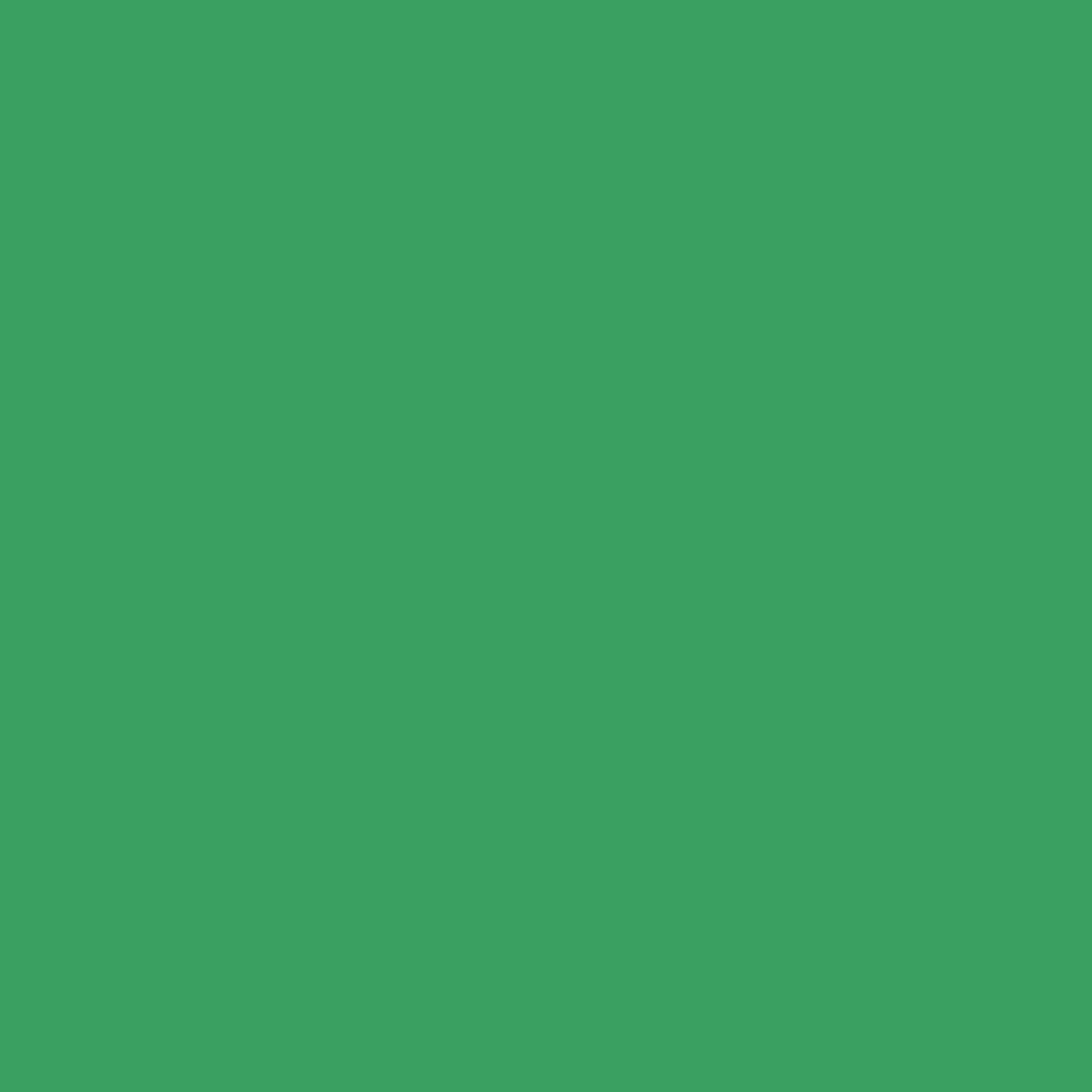 Cricut® Infusible Ink™ Sheets Solid (2), Bright Green, 12" x 12",Bright Green